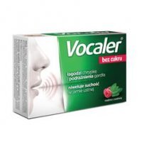 VOCALER bez cukru, 12 pastylek do ssania