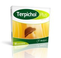 TERPICHOL PLUS, 60 kapsułek
